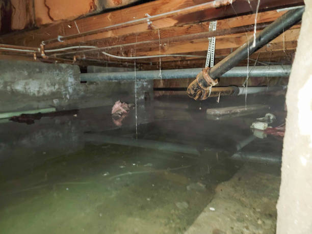 Water damage restoration experts in Brandon, SD