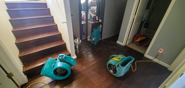 Best Flood damage cleanup  in Brandon, SD