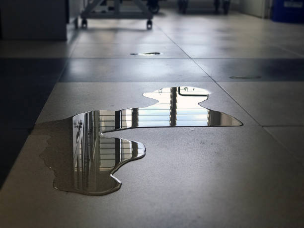 Best Carpet water damage restoration  in Brandon, SD